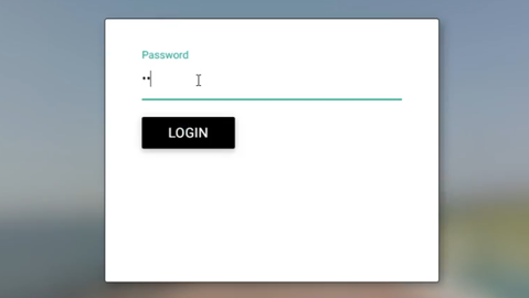 Panorama Password